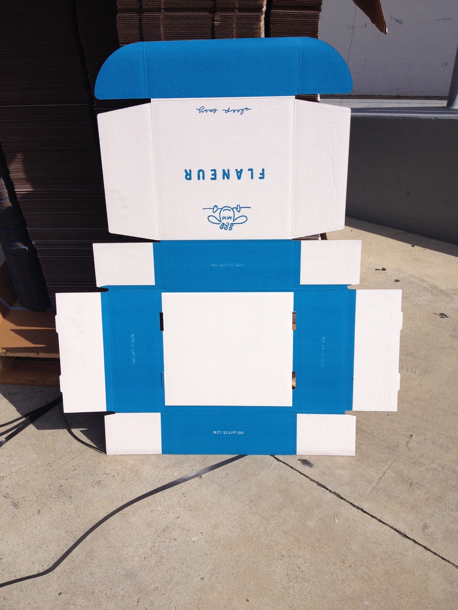 Printed Opus Macaw corrugated shipping boxes